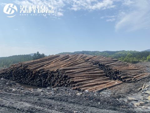 河道打樁為什么選擇松木樁來(lái)處理軟地基？-松木樁施工使用范圍